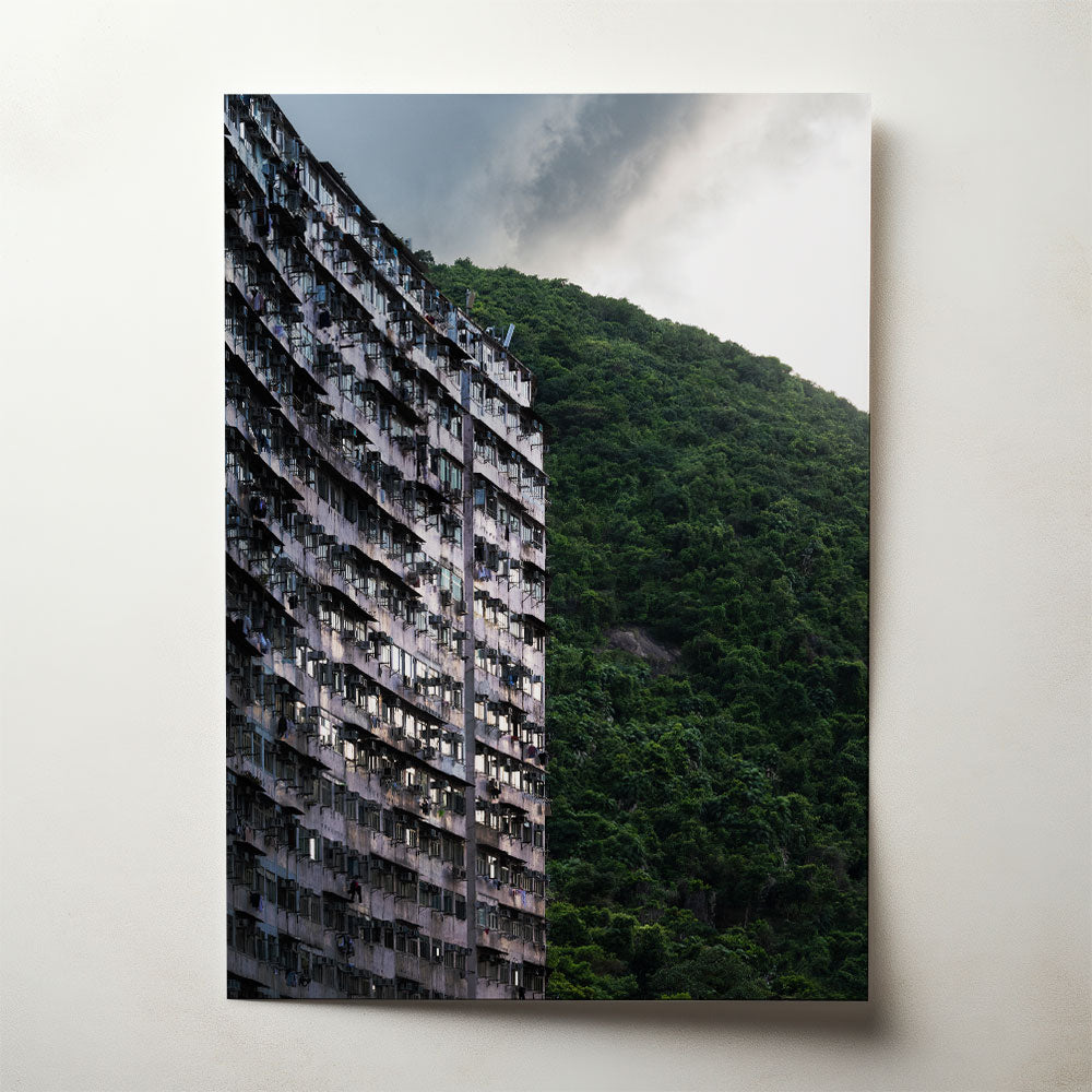 Concrete Versus Nature, photograph by Rudmer Hoekstra