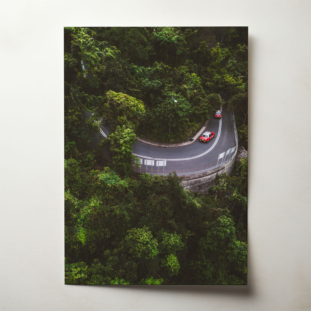 Jungle Taxis, photograph by Romain Nicoloso