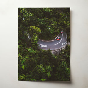 Jungle Taxis