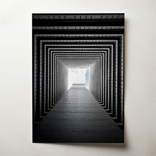 Looking Up, photograph by Nancy Da Campo