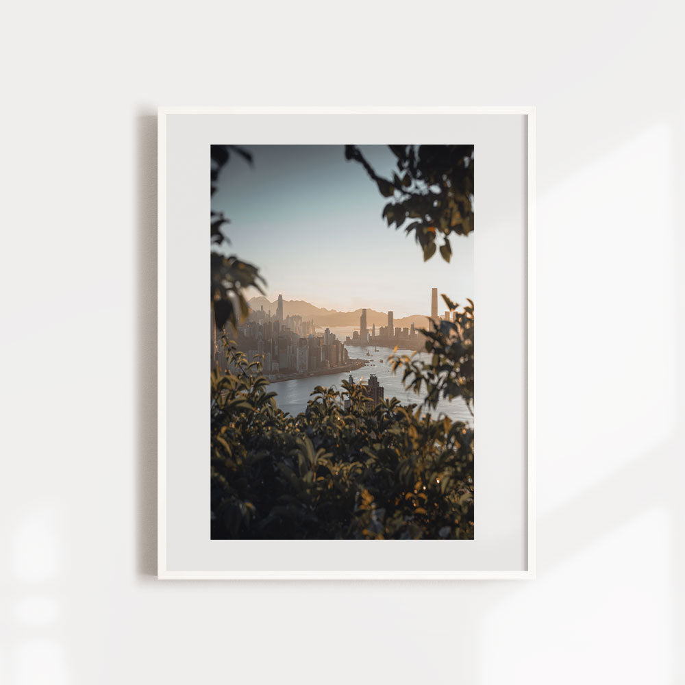 Urban Jungle