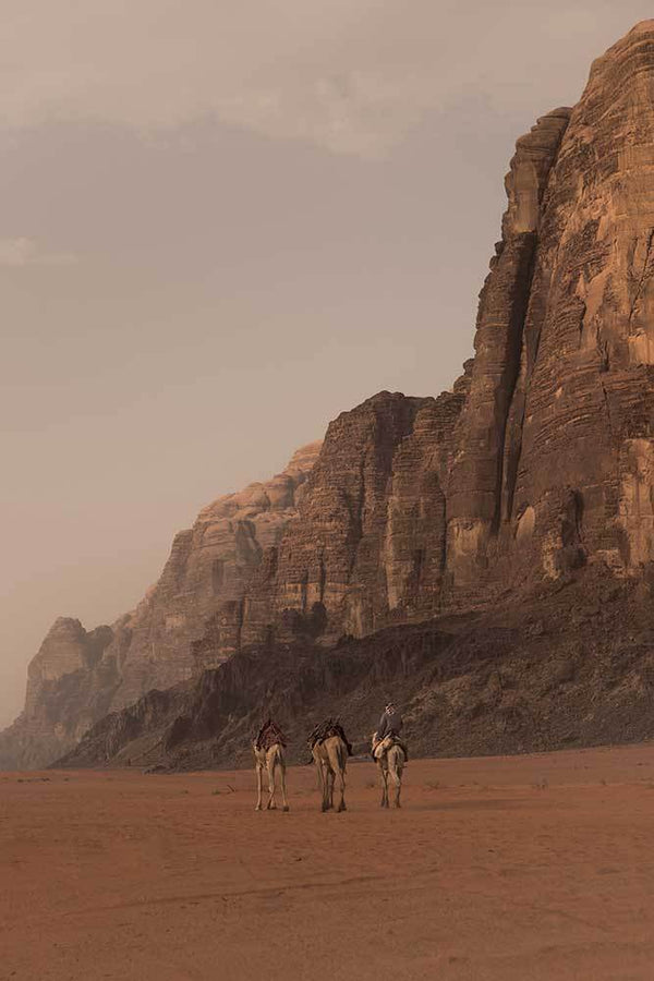 Jordanian scene